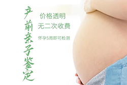 北京专业产前DNA鉴定机构查询(附亲子鉴定办理攻略)